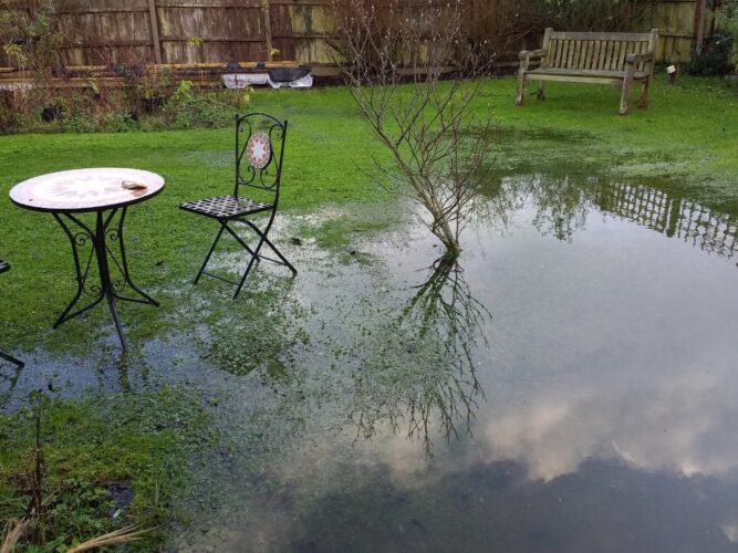 Flooded garden