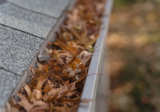 Depositphotos_320818590_L