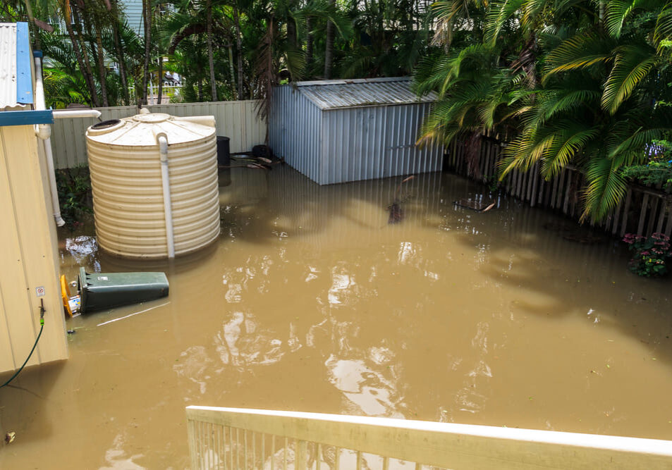 Depositphotos_37924505_L (1)