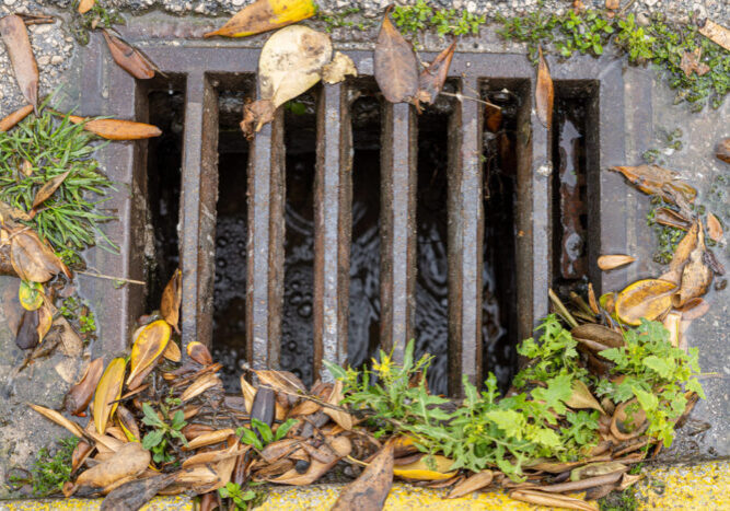 Depositphotos_582088518_L (1)